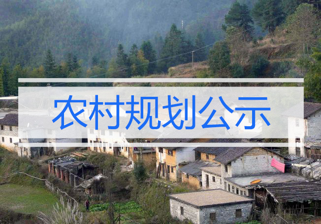 更新改造、新农村建设……义乌这两个村规划公示！